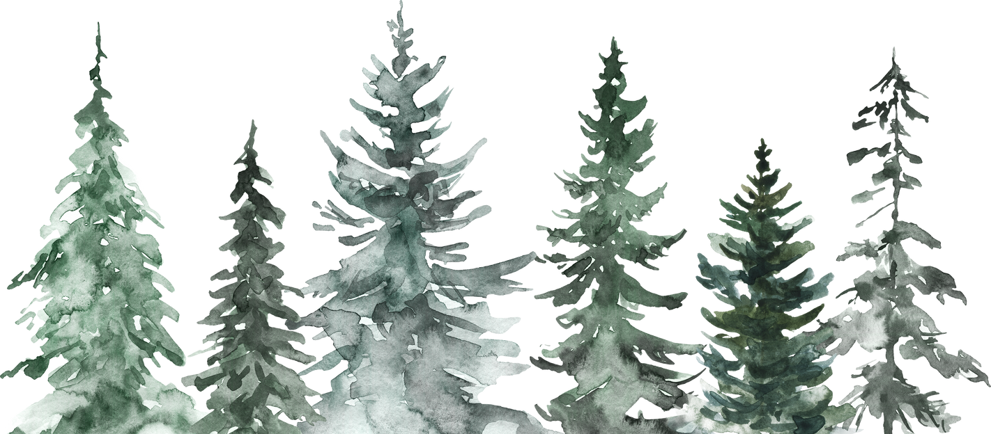 Winter pine forest border, watercolor Christmas illustration